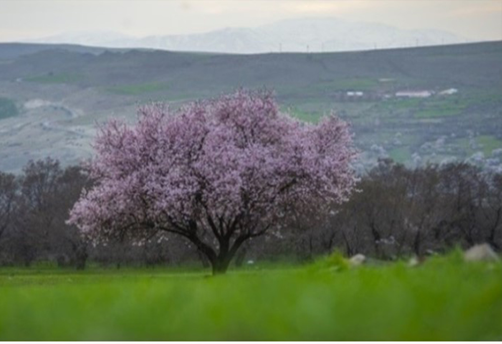 Tebigat bilen sazlaşyk.