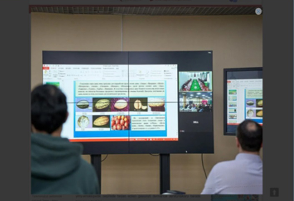 Türkmen agronomlary gawun ösdürip ýetişdirmegiň syrlaryny Astrahan döwlet uniwersitetiniň talyplary bilen paýlaşdylar